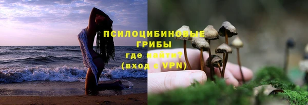 марки nbome Бородино