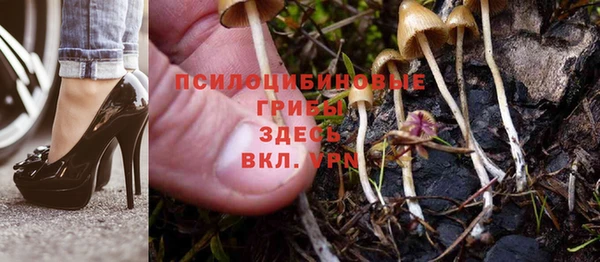 марки nbome Бородино