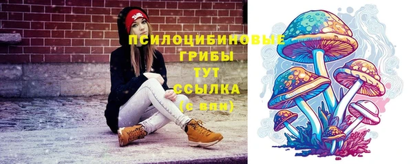 марки nbome Бородино